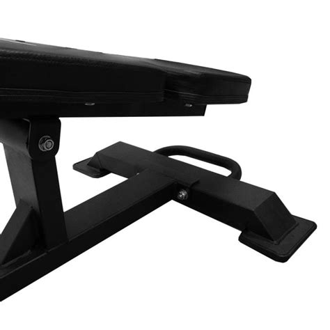 diagram človeških trebušnih mišic