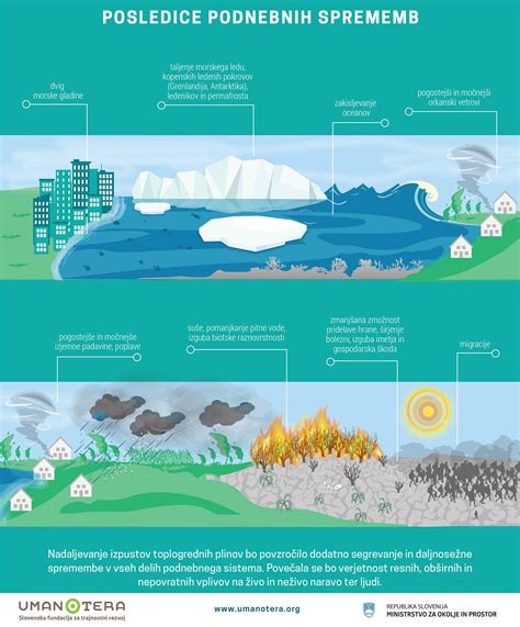 infografika poporodnih sprememb