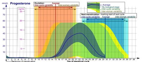 Grafikon ravni hormonov med menstrualnim ciklom in nosečnostjo
