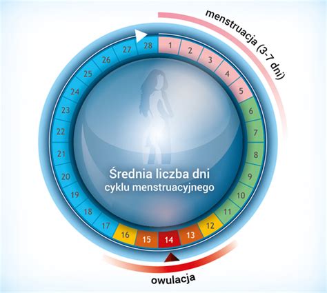 Ženska s koledarjem, ki označuje plodne dni