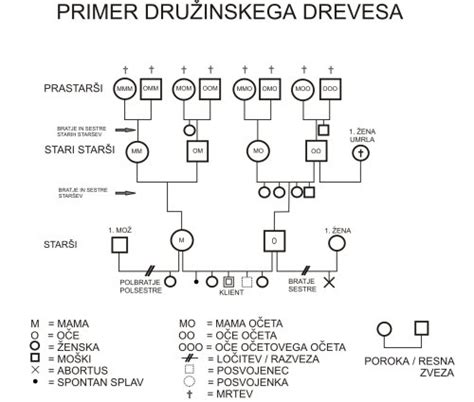 Družinsko drevo, ki ponazarja dedovanje genetskih bolezni