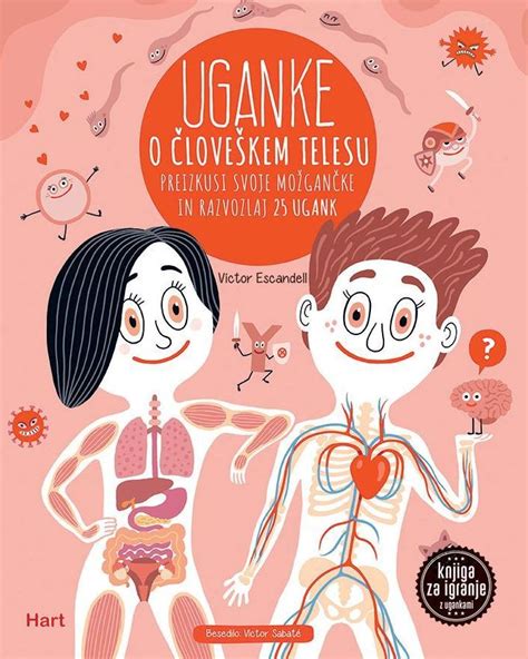 Diagram procesa prebave v človeškem telesu