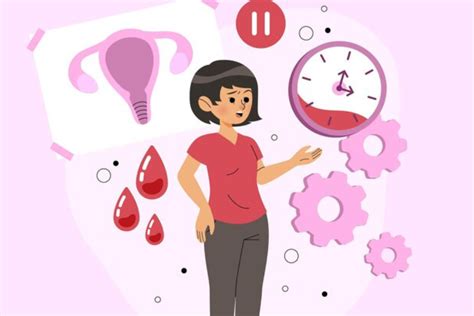 Ilustracija hormonskega ravnovesja med estrogenom in progesteronom