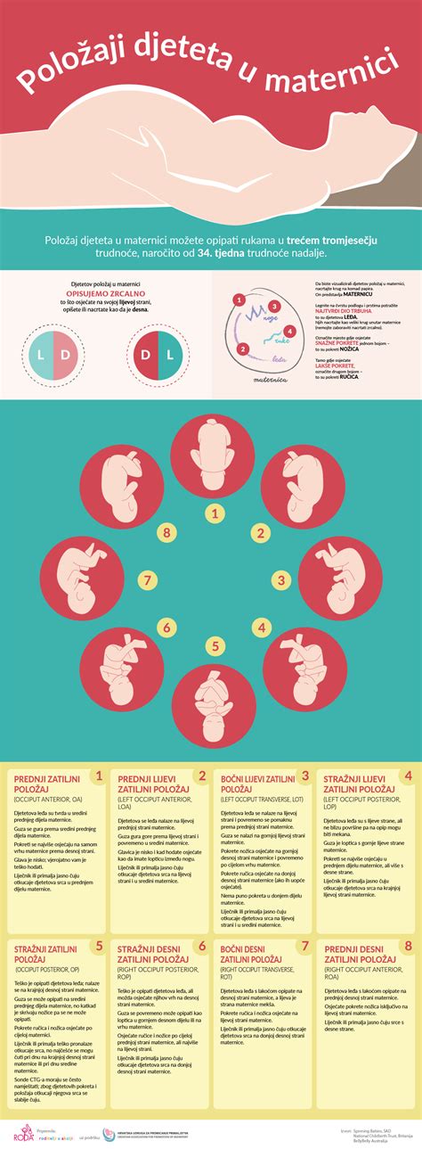 Ultrazvok nosečnice s prikazom posteljice