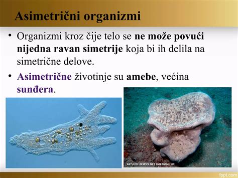 Diagram primerjave simetrične in asimetrične zahiranosti
