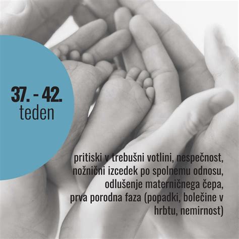 Diagram prikazuje položaj ploda v medenici v 38. tednu