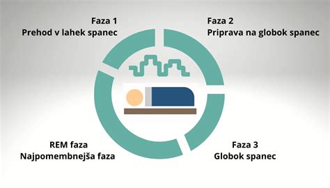 dojenček v REM fazi spanja