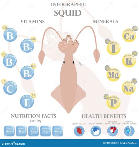infographic about nutritional benefits of squid