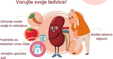 Shematski prikaz normalne ledvice in poškodovane ledvice pri kronični ledvični bolezni.
