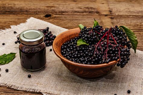 Ilustracija bezgovih jagod