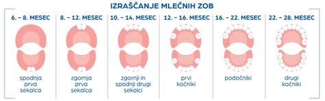 Diagram časovnice izraščanja mlečnih zob