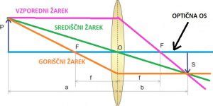 Diagram, ki prikazuje prehod kofeina skozi placento