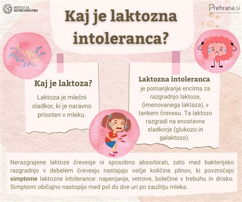 Diagram razgradnje laktoze v tankem črevesu