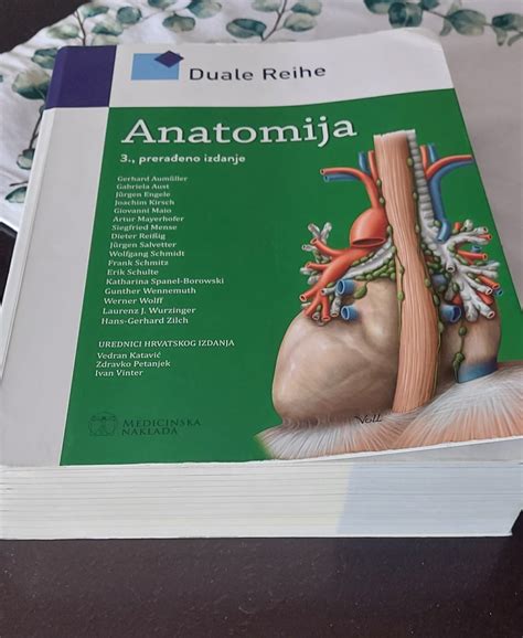 Diagram anatomije želodca