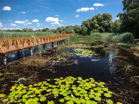 Kopački rit - naravni park