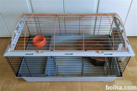 Kletka za morskega prašička s trdnim dnom