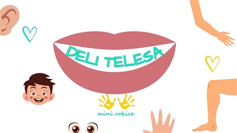 Ilustracija ženskega telesa z označenimi merami za nedrček