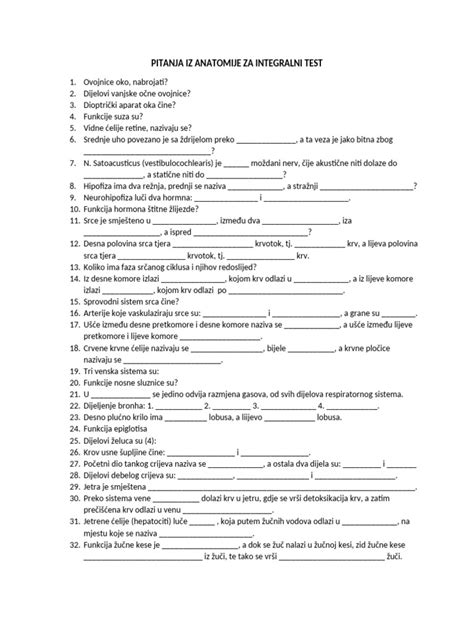 Diagram anatomije nog z žilnim sistemom