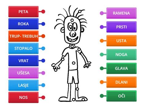 Diagram telesa z označenimi točkami pritiska