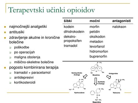 Grafični prikaz delovanja opioidov na telesne bolečine