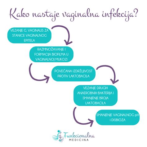 Prikaz normalne vaginalne flore in bakterijske vaginoze