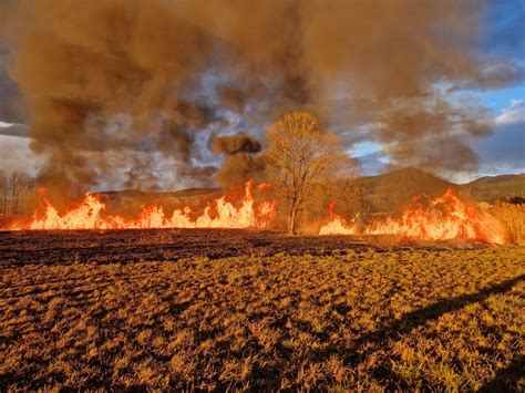 Mati, ki doji otroka v naravnem okolju