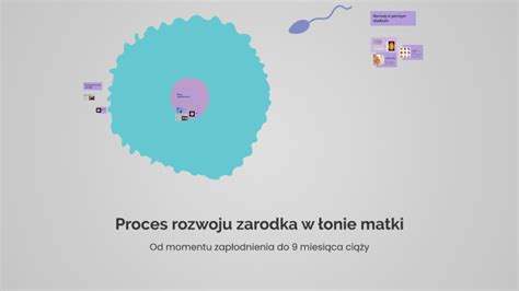 Proces prenosa zarodka v maternico