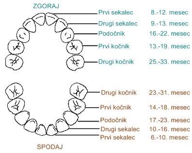 otroški zobki