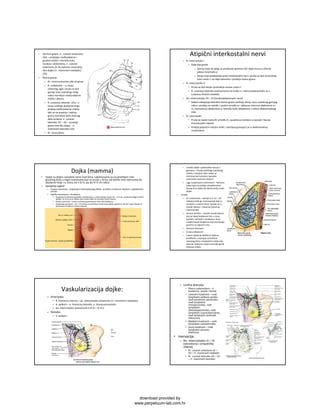 diagram ženske dojke z označenimi mlečnimi kanali in bradavico