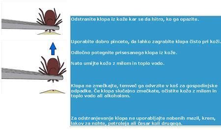 Pravilno odstranjevanje klopa