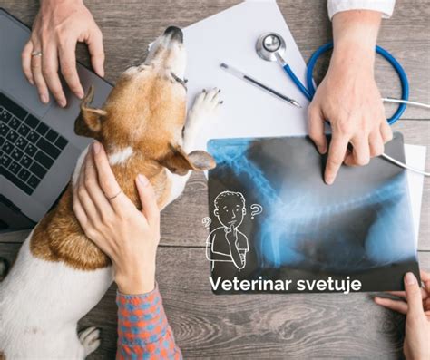 Pes, ki kaže znake bolečine ali nelagodja