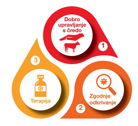 Infografika o higienskih ukrepih za preprečevanje soorja pri dojenčkih