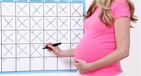 Diagram metod za izračun termina poroda