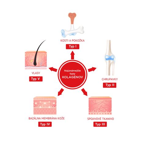 infografika o negi kože pri ekcemu