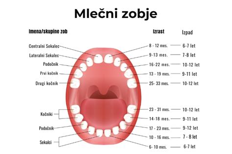 diagram rasti zob