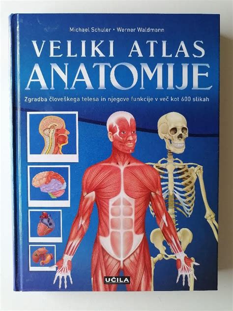 Diagram človeškega telesa z označenimi funkcijami, ki jih uravnava sol.