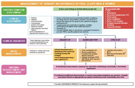 Diagram showing the flow of urinary incontinence management