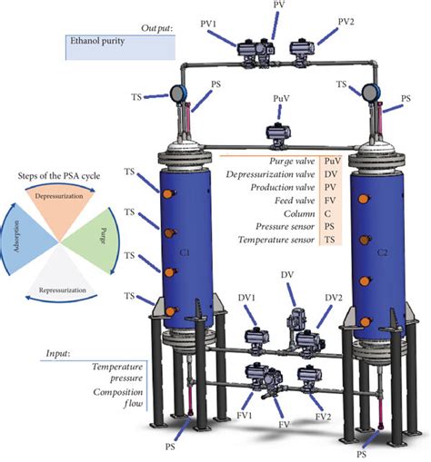 Diagram anatomije reproduktivnega sistema psa