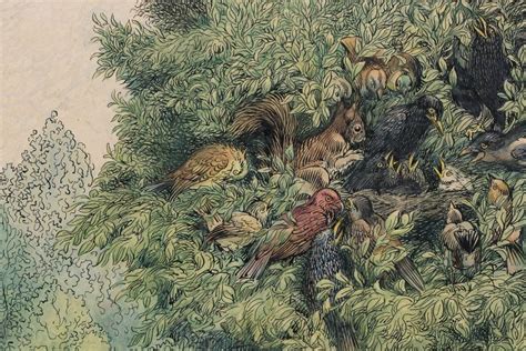 Ilustracija mekonija v plodovnici