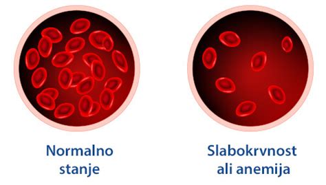 Prikaz rdečih krvničk in hemoglobina v krvi