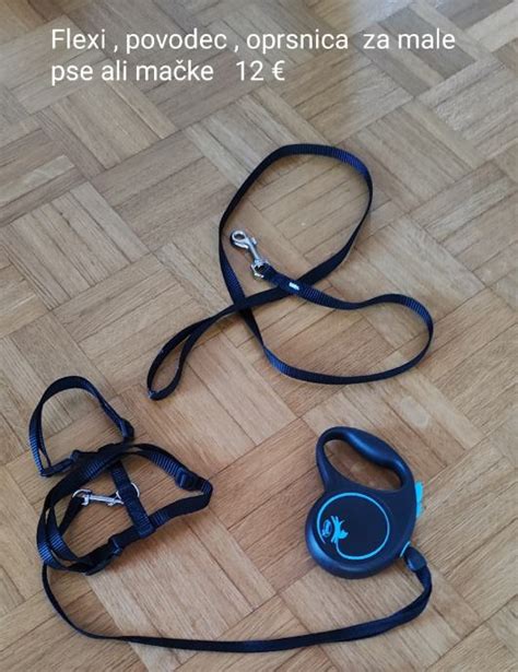 Shema stanovanja z označenimi varnimi območji za mačko in psa