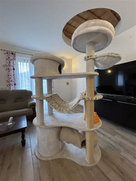 Slika mačje hiše Maisonette