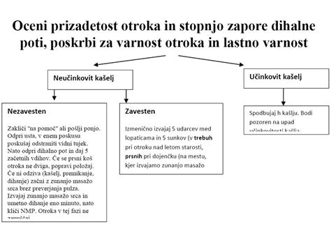 Diagram človeških dihalnih poti s poudarkom na sluznici