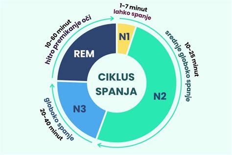 Diagram cikla spanja pri dojenčkih in odraslih