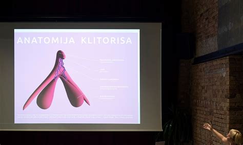 Anatomija klitorisa