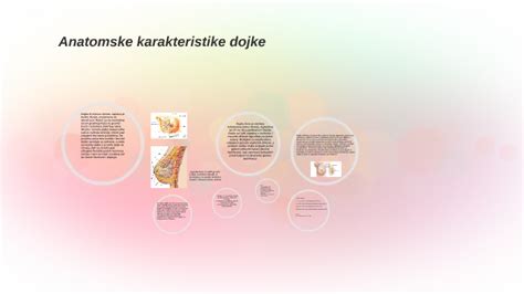 Anatomija ženske dojke s poudarkom na žleznem tkivu, izvodilih in maščobnem tkivu