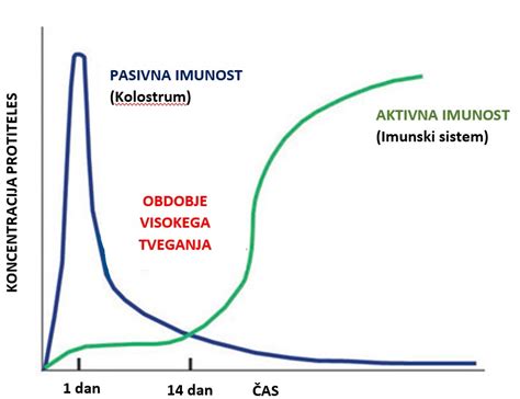 Shema delovanja povzročiteljev driske pri teletih